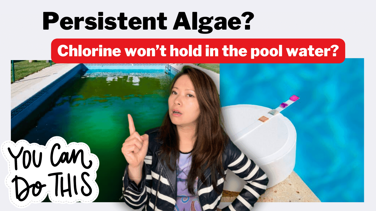 Persistent Algae? Chlorine won’t hold in the pool water? Here’s why.