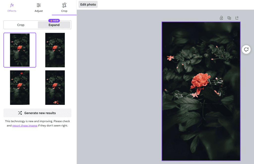 Canva Magic Expand showing four AI-generated image extension variations