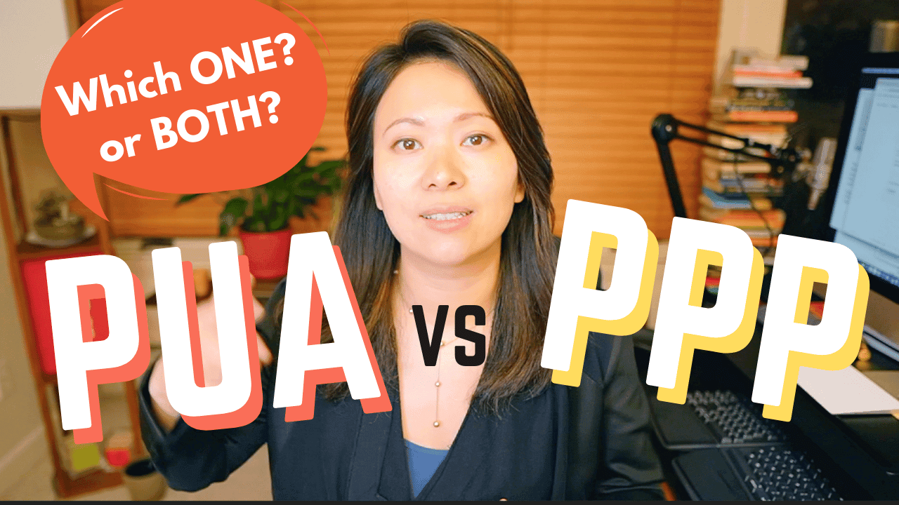 Ppp and Pua – Which One I Chose and Why (For Now) #Ppp #Pua