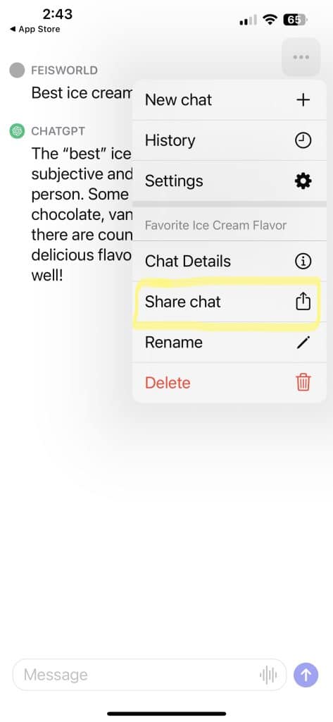 ChatGPT mobile app showing three-dot menu with Share Chat option