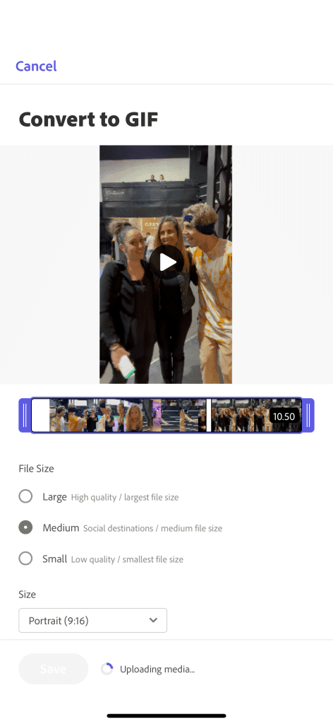 adobe express review 2