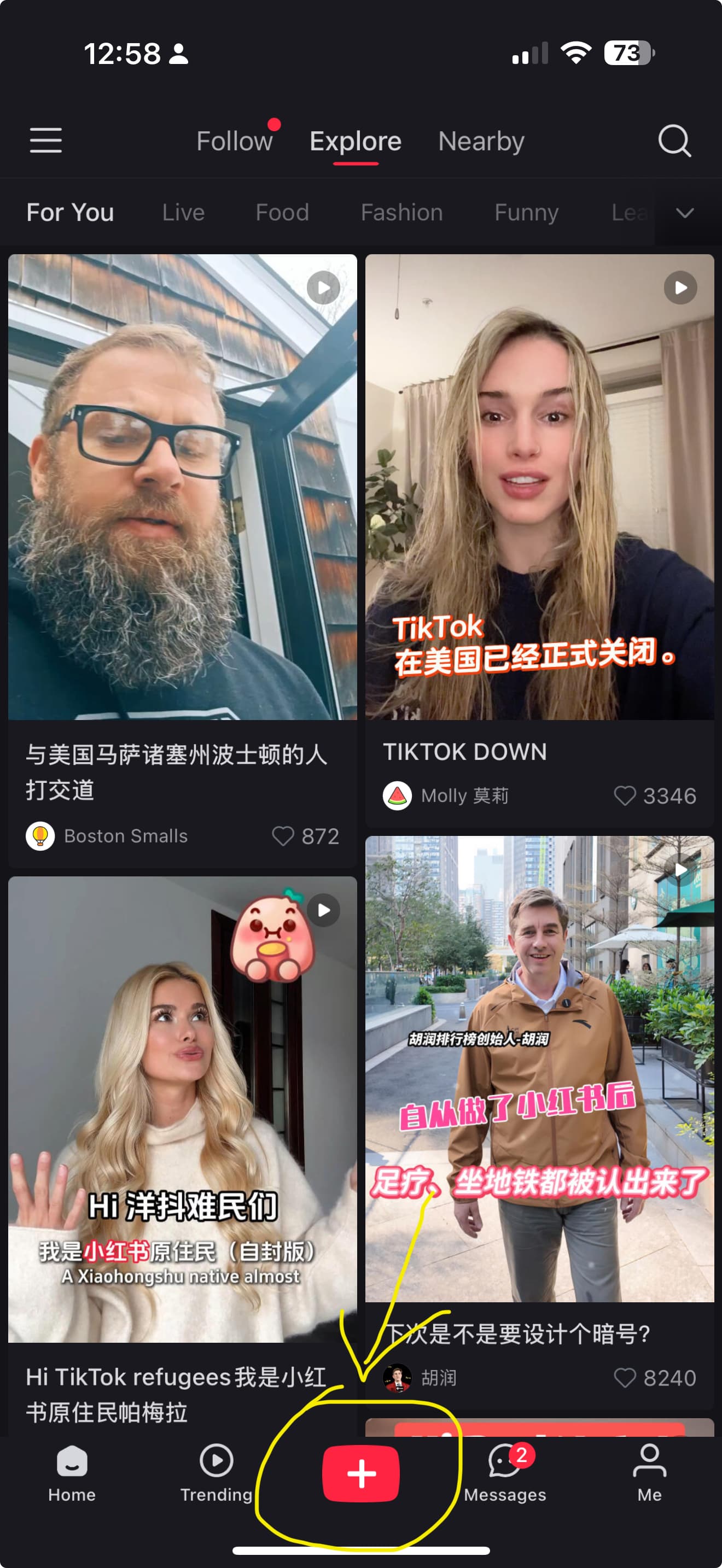 Feisworld