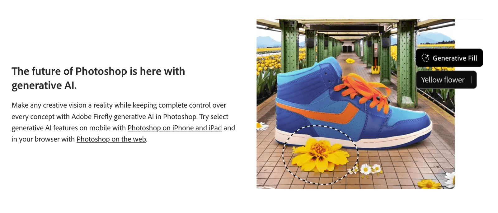 Visual Brainstorming with Adobe Firefly Boards, integrates with Photoshop and Creative Cloud apps