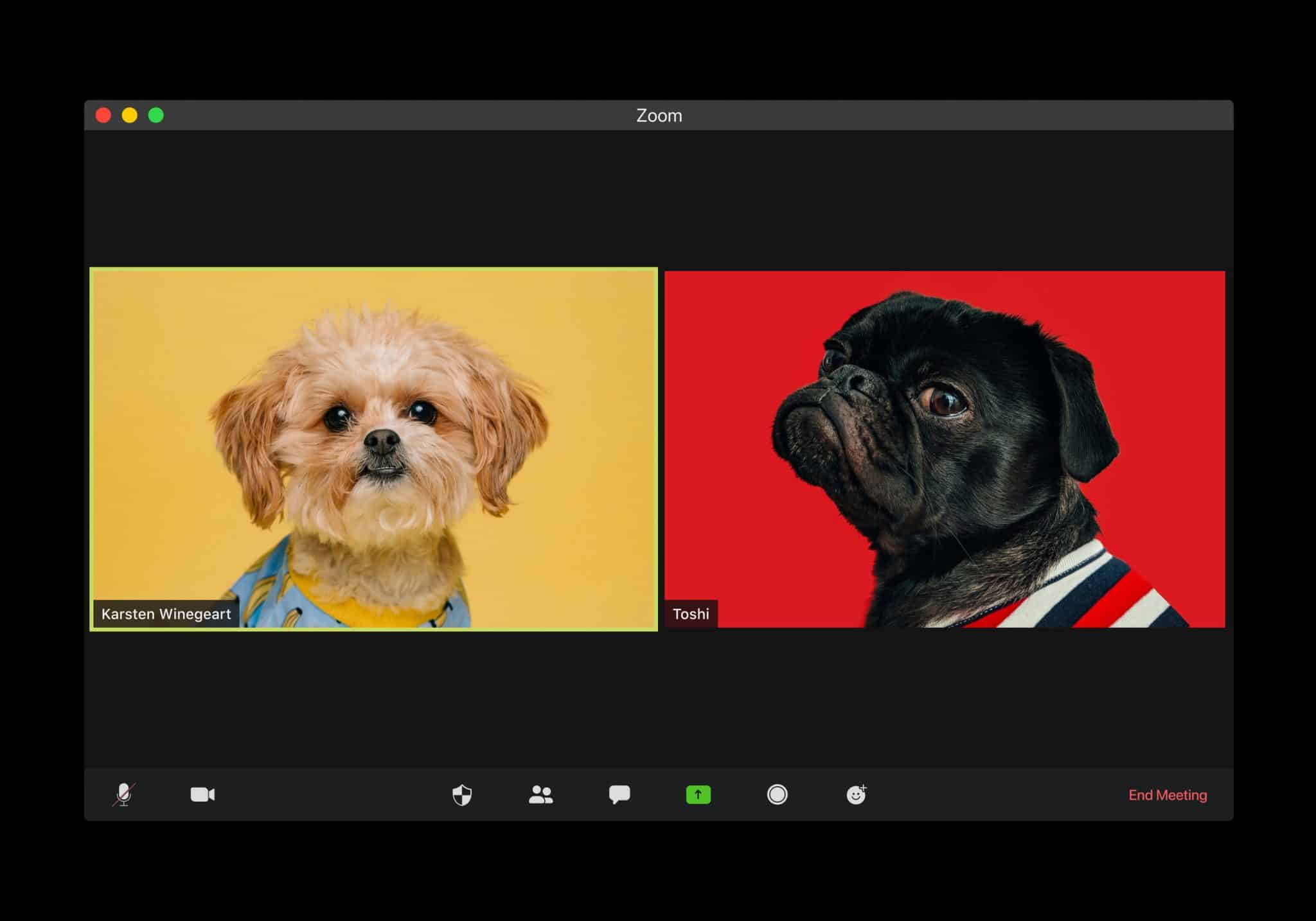 How to Organize and Host a Successful Livestream Concert With Multiple Performers From Home With Zoom Webinar