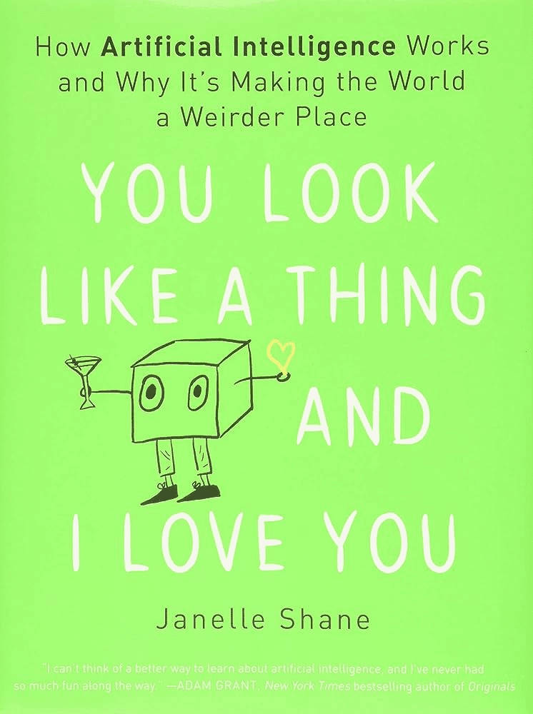 You Look Like a Thing and I Love You: How AI Works and Why It's Making the World a Weirder Place (Janelle Shane)