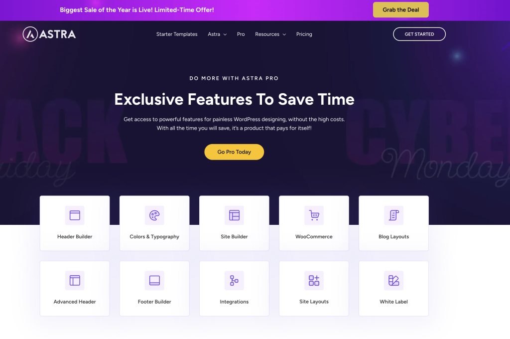 Astra Pro Homepage (Wordpres)